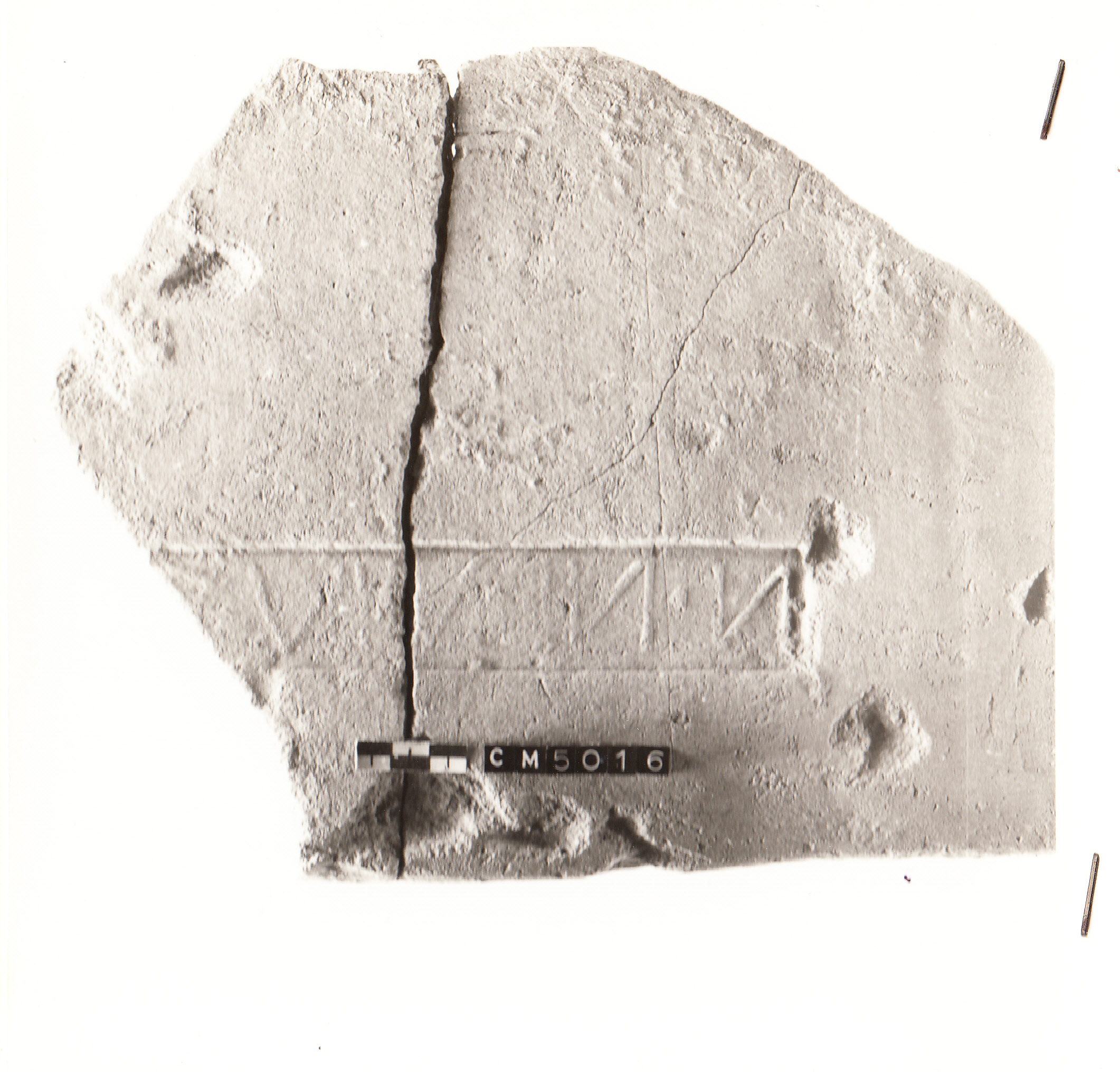 tegola di Nevius (?) (fornace) (I a.C)