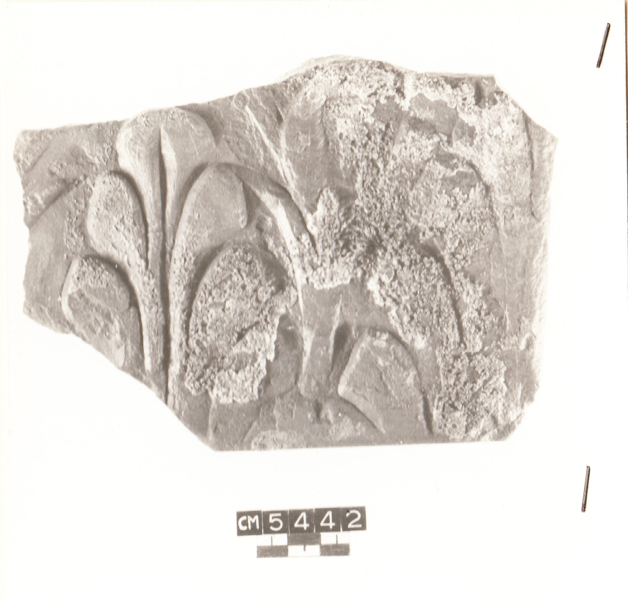 capitello (non determinabile)