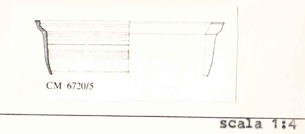 bacile (ante 40-50 d.C)
