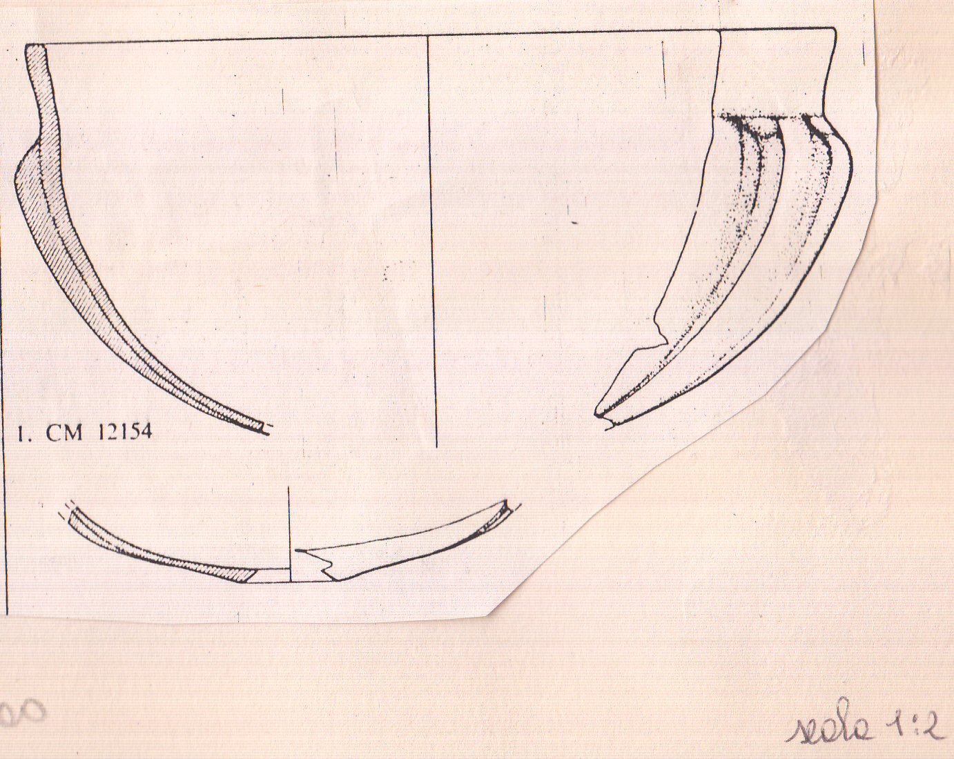 coppa (prima metà I d.C)