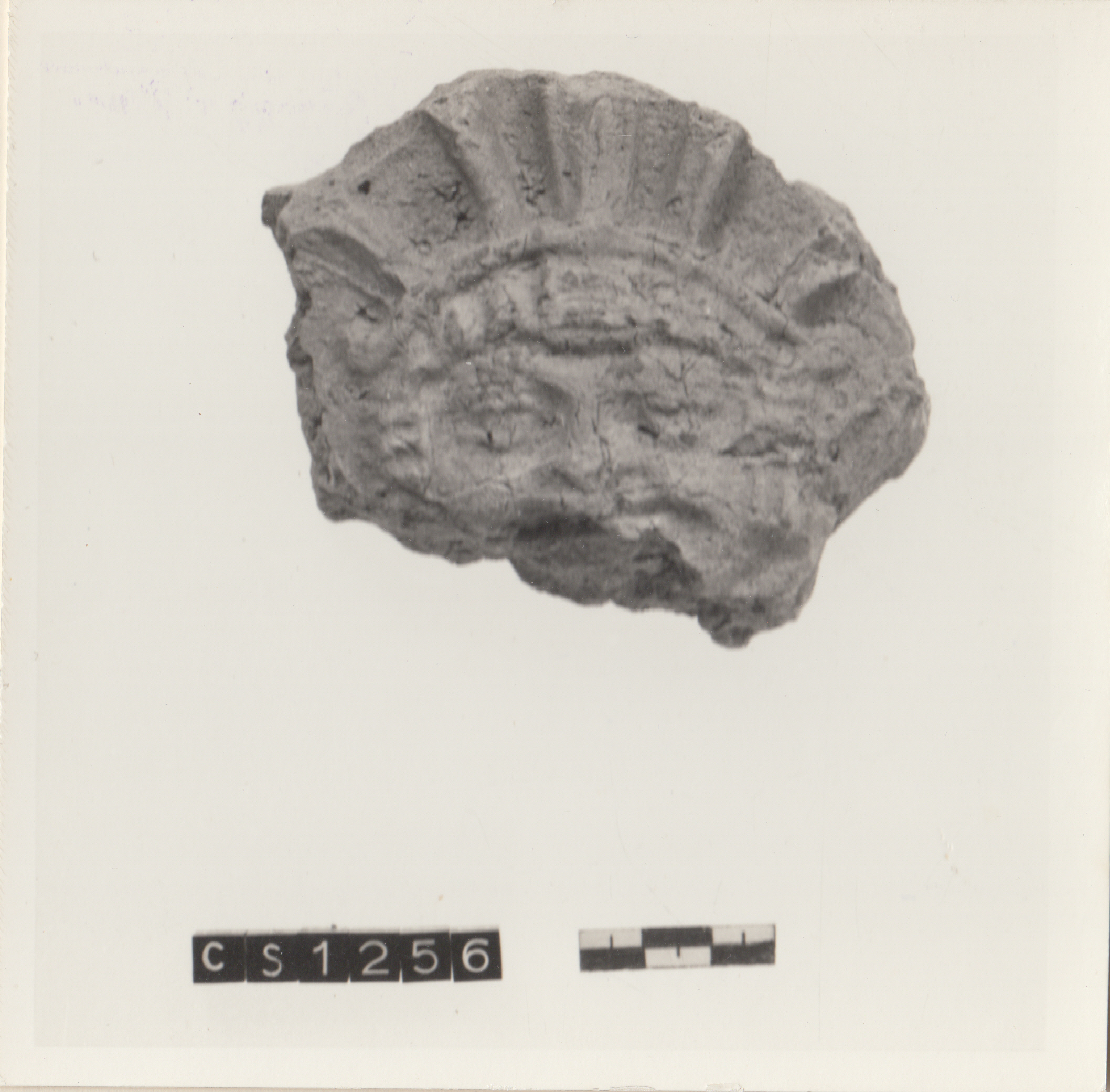 antefissa (tarda/ inizi età repubblica-imperiale)