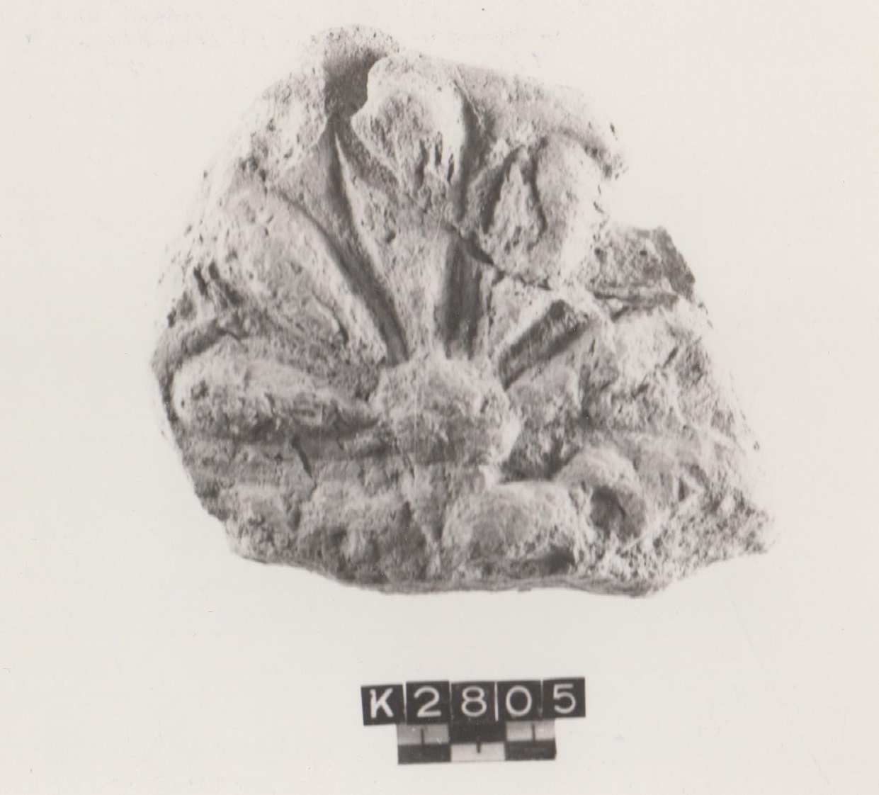 lastra di rivestimento (inizi età imperiale)