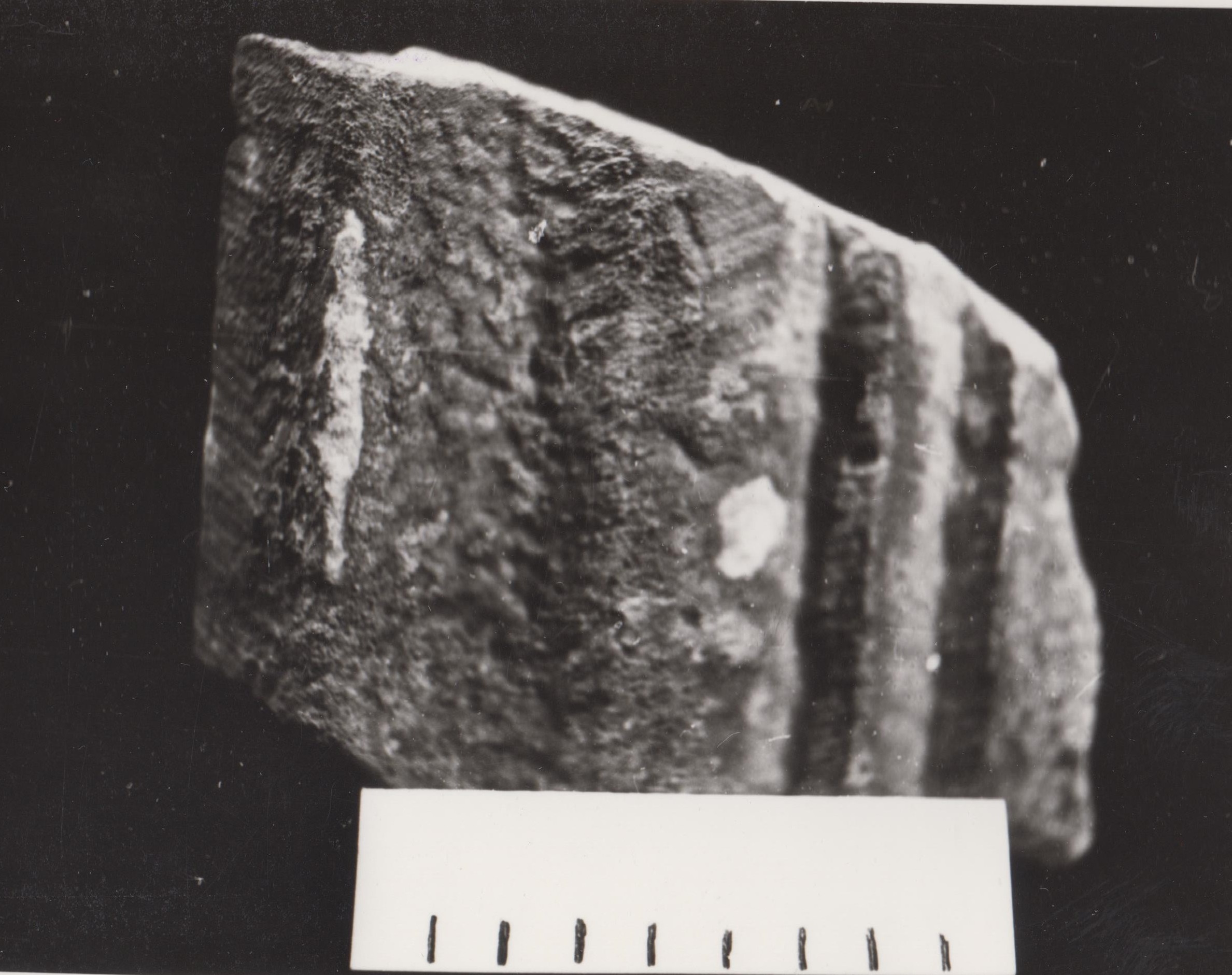 crepidine (età medio-imperiale)