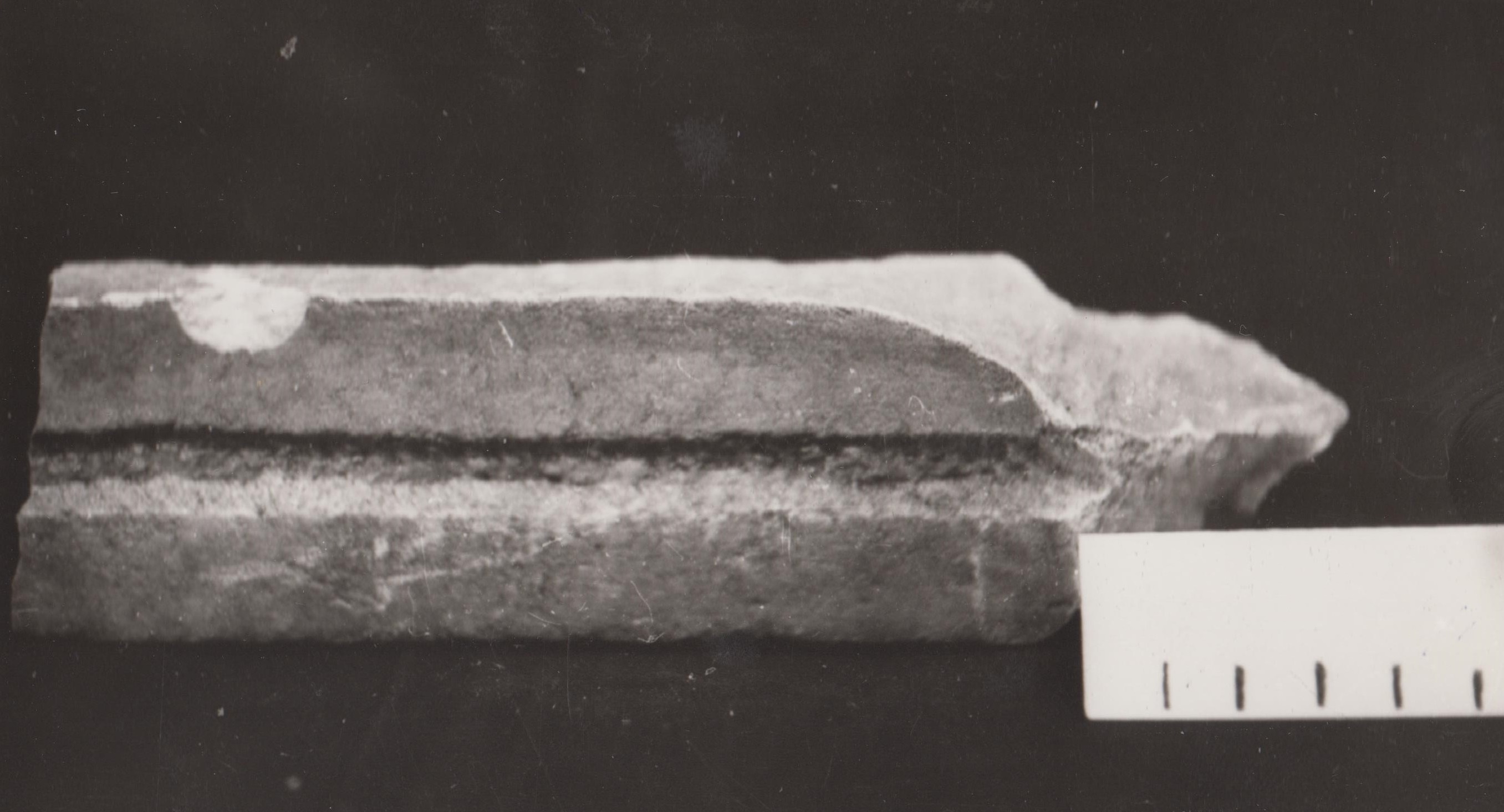 lesena (eta antoniniana)