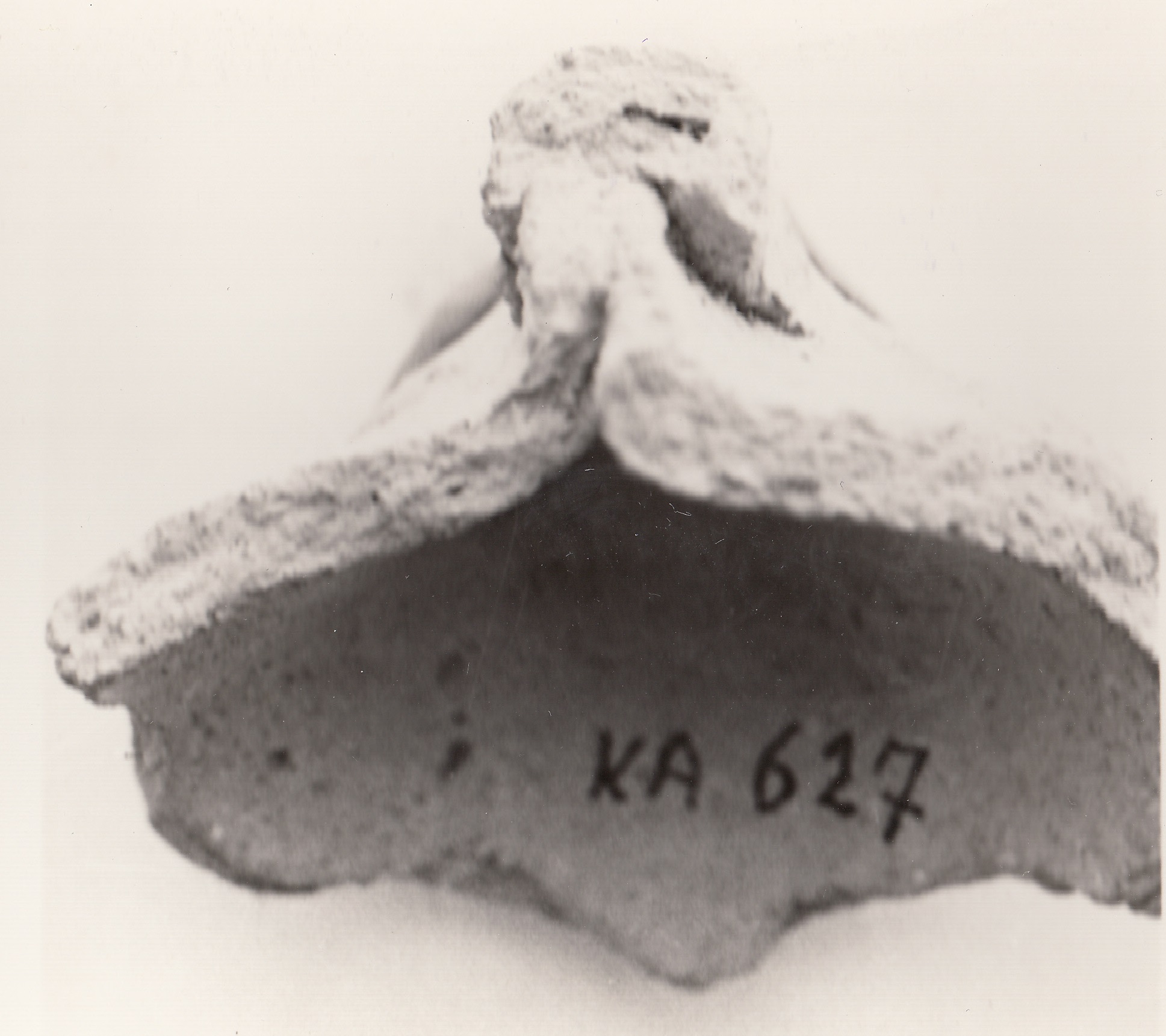 lucerna (IV-VII d.C)