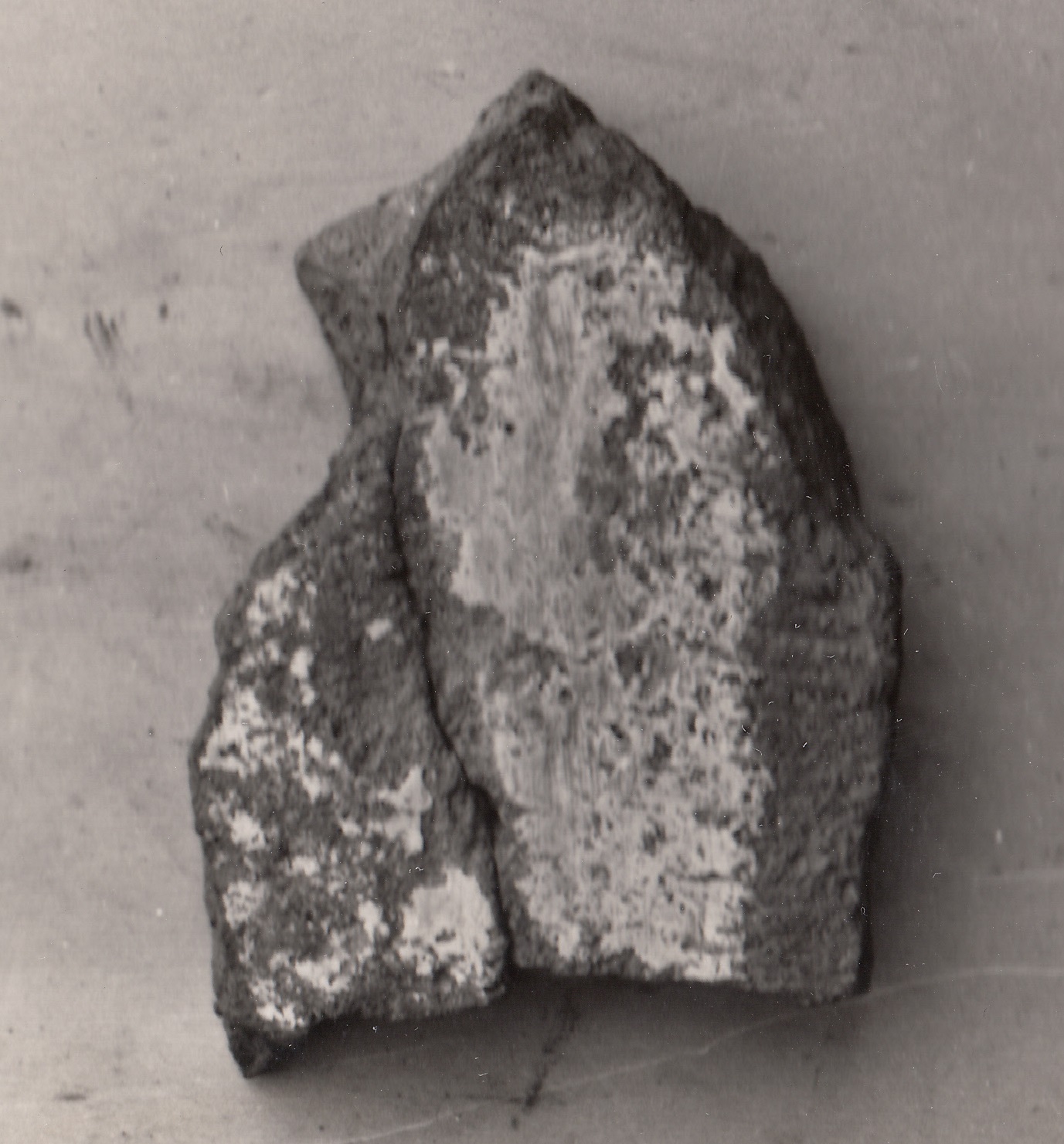 lastra di rivestimento (età repubblicana)