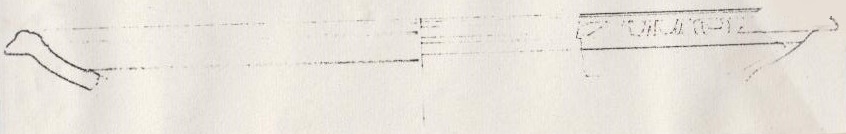 coppa, Pasquinucci 124 (II a.C)