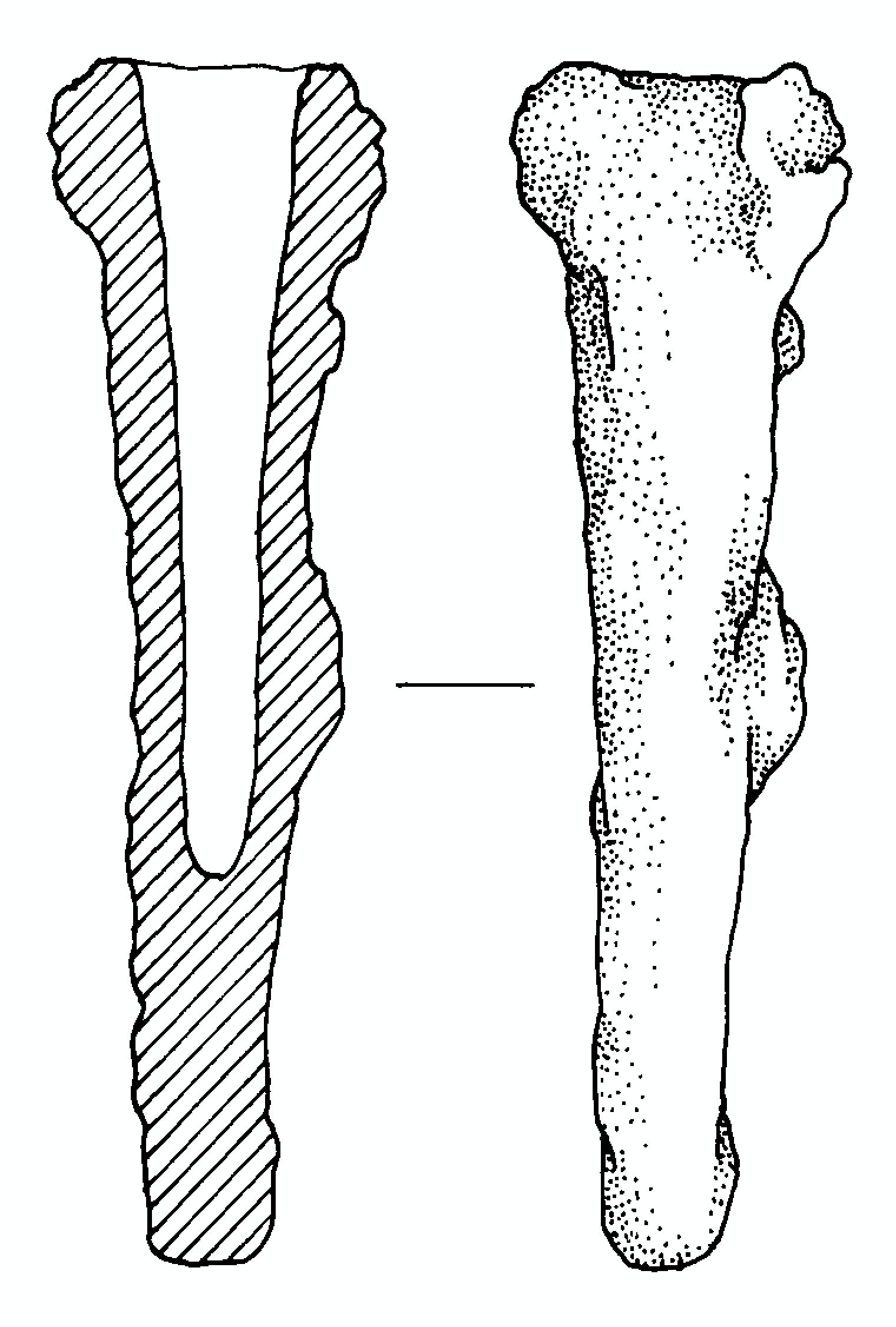 lancia, Sauroter (fine/primo quarto IV-III a.C)