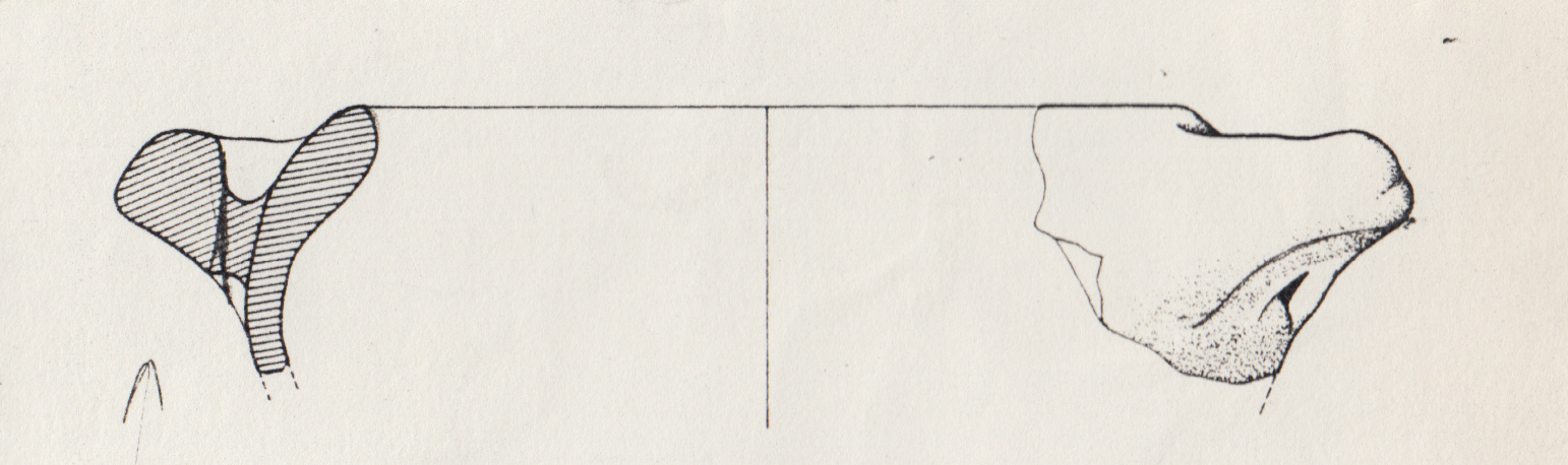 olla (tardoantico-altomedievale)