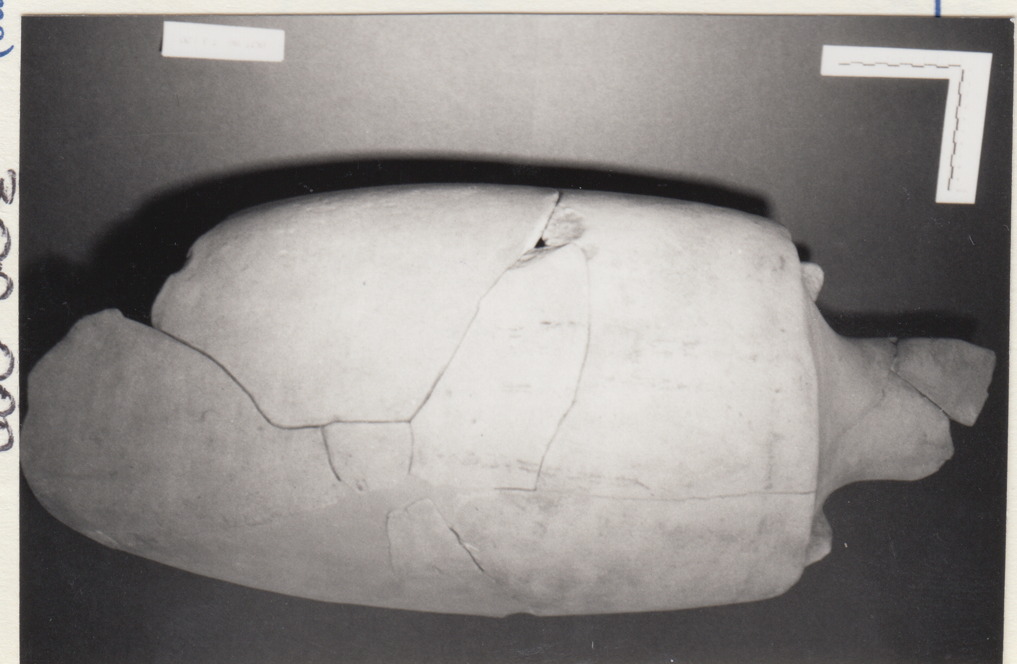 anfora, forma Dressel 1 (II-I a.C)