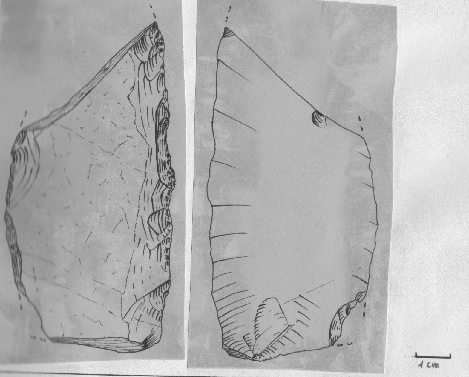 raschiatoio, doppio (Paleolitico medio)