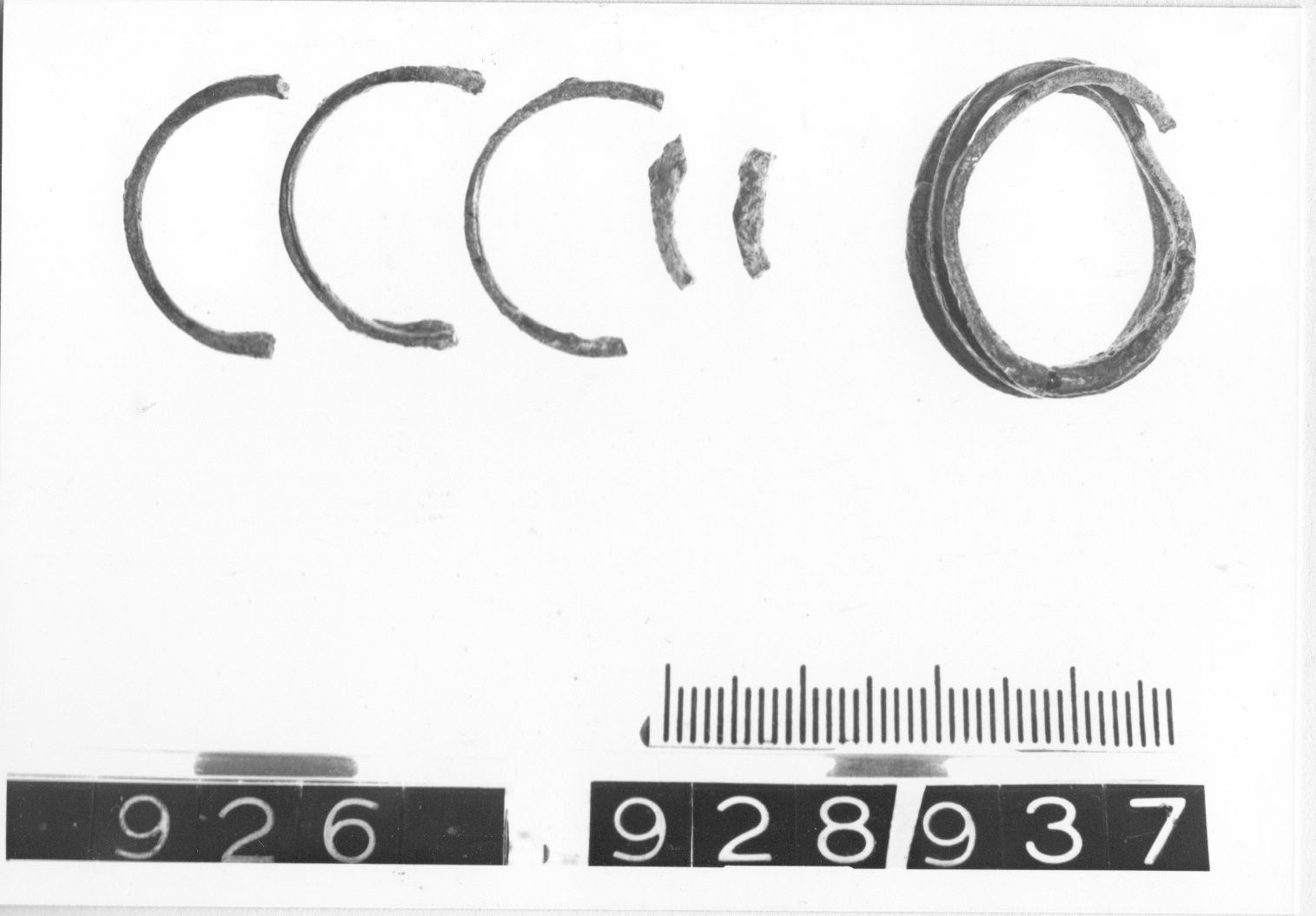 anelli - cultura ligure (fine/ primo quarto VIII-VII a.C)