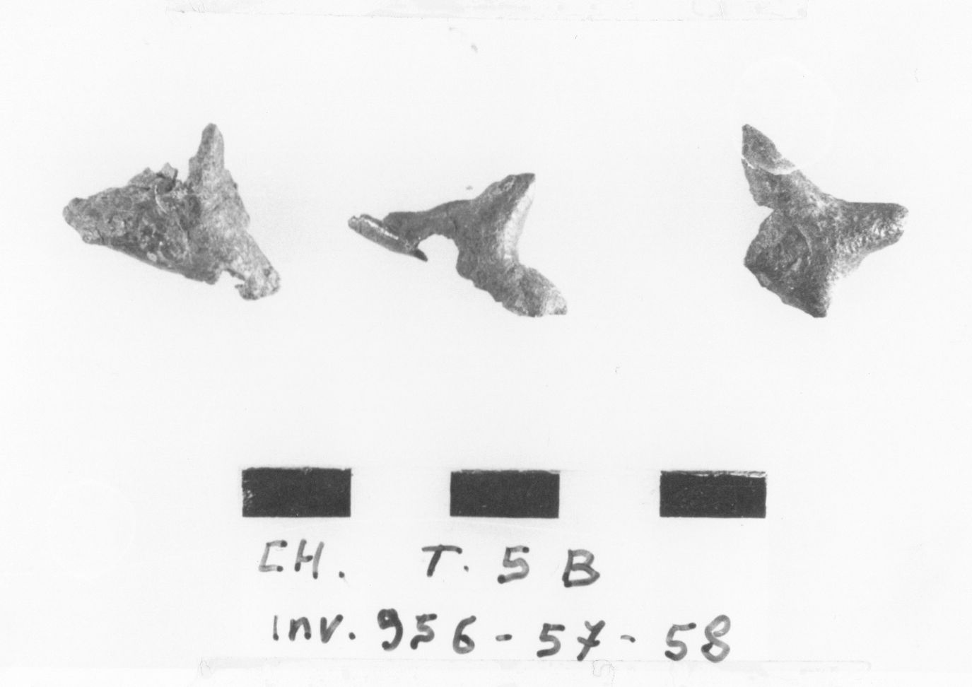 borchia, a tre punte - cultura ligure (fine/ primo quarto VIII-VII a.C)