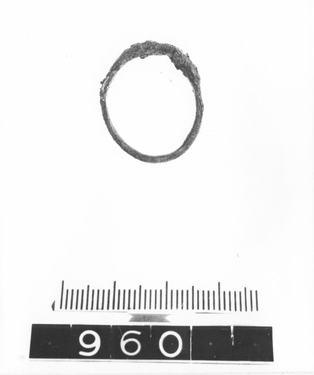 anello - cultura ligure (fine/ primo quarto VIII-VII a.C)