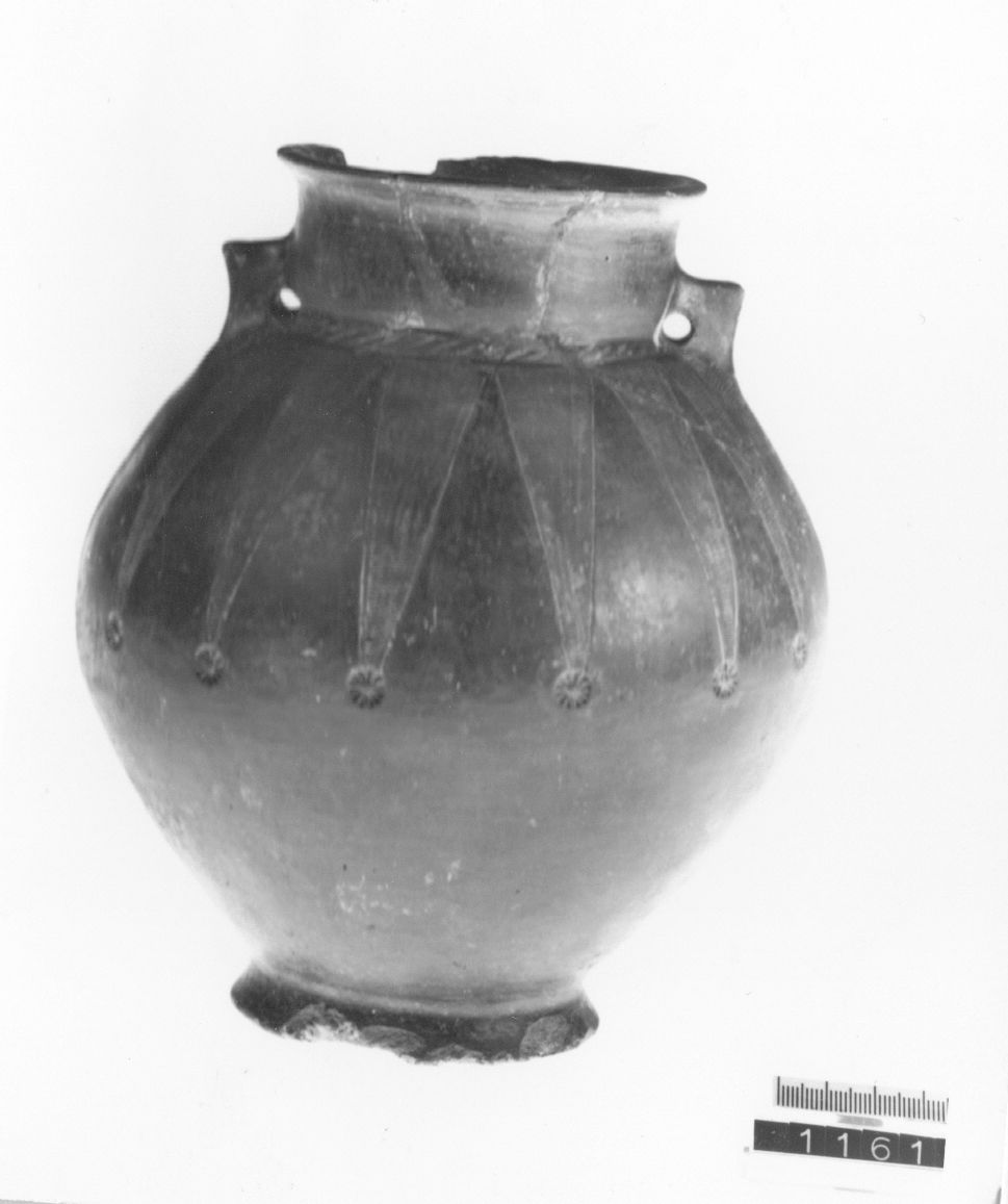 olla, biansata - cultura ligure (VIII a.C)