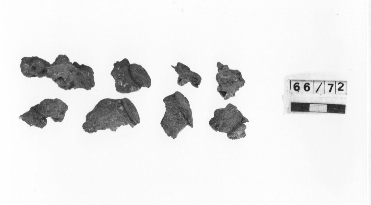 borchia, a campanello - cultura ligure (Prima età del ferro)