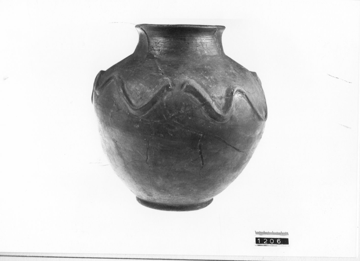 olla - cultura ligure (Prima età del ferro)