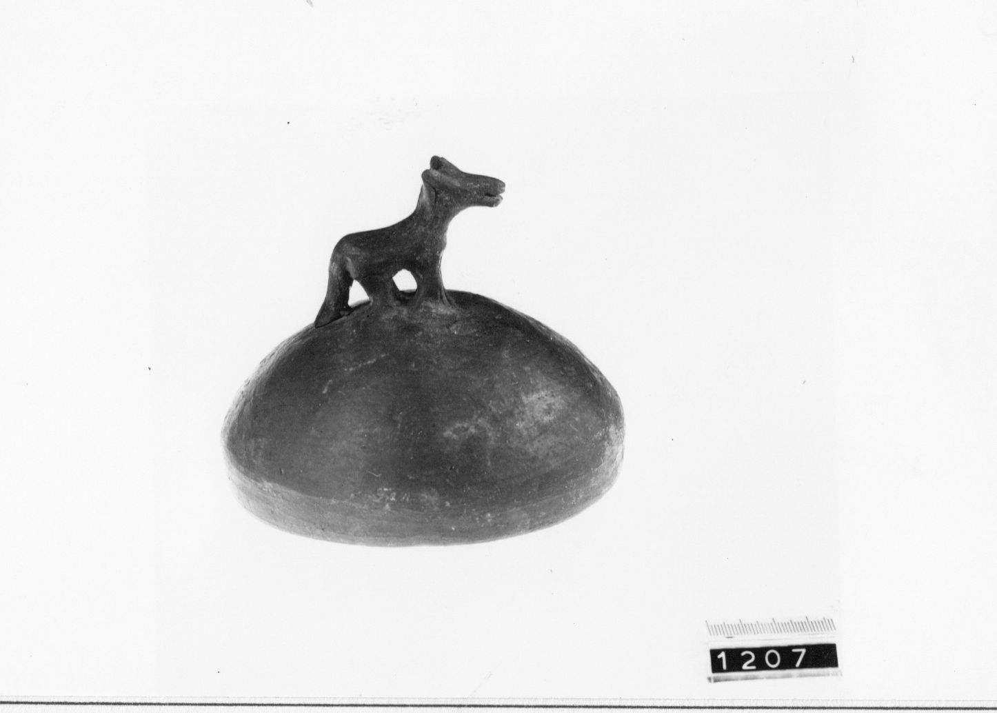 coperchio con presa zoomorfa - cultura ligure (Prima età del ferro)