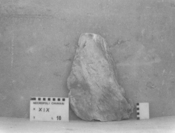 lastra di ardesia (VII a.C)