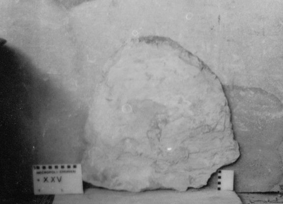 lastra di ardesia (VII a.C)