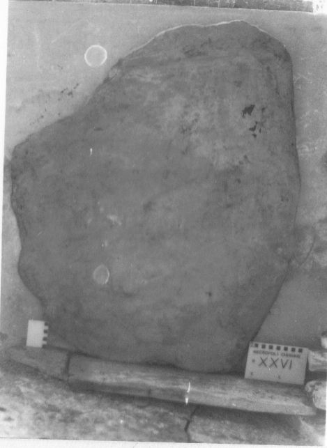 lastra di ardesia (VII a.C)