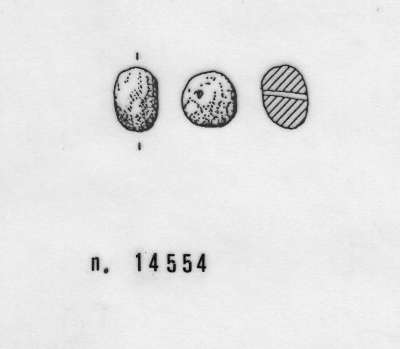 vago - Cultura del Vaso Campaniforme (fine Eneolitico,III mill. a.C)