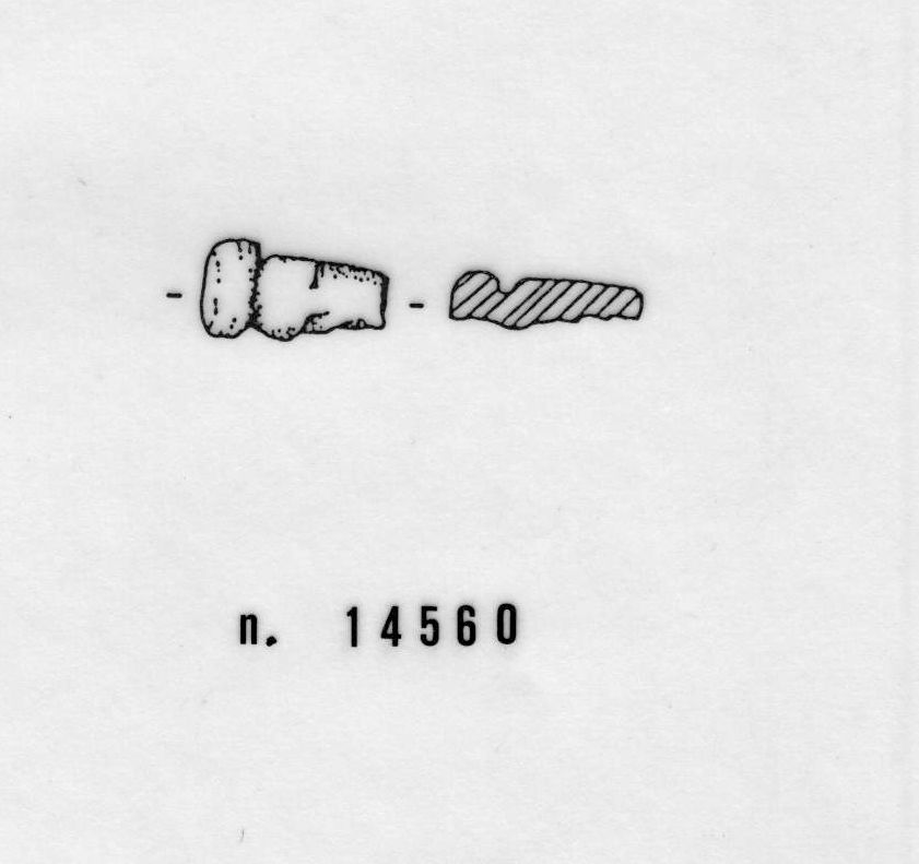 bottone, tipo Montgomery - Cultura del Vaso Campaniforme (fine Eneolitico,III mill. a.C)