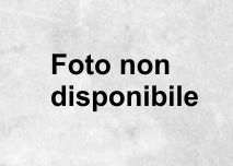 bottone/frammenti - cultura ligure della prima età del Ferro (VII sec. a.C)