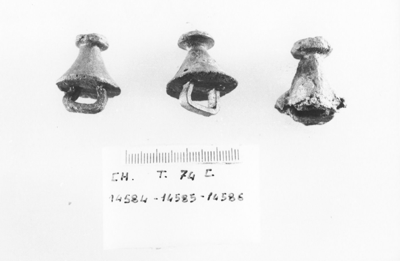 borchia (prima età del ferro)