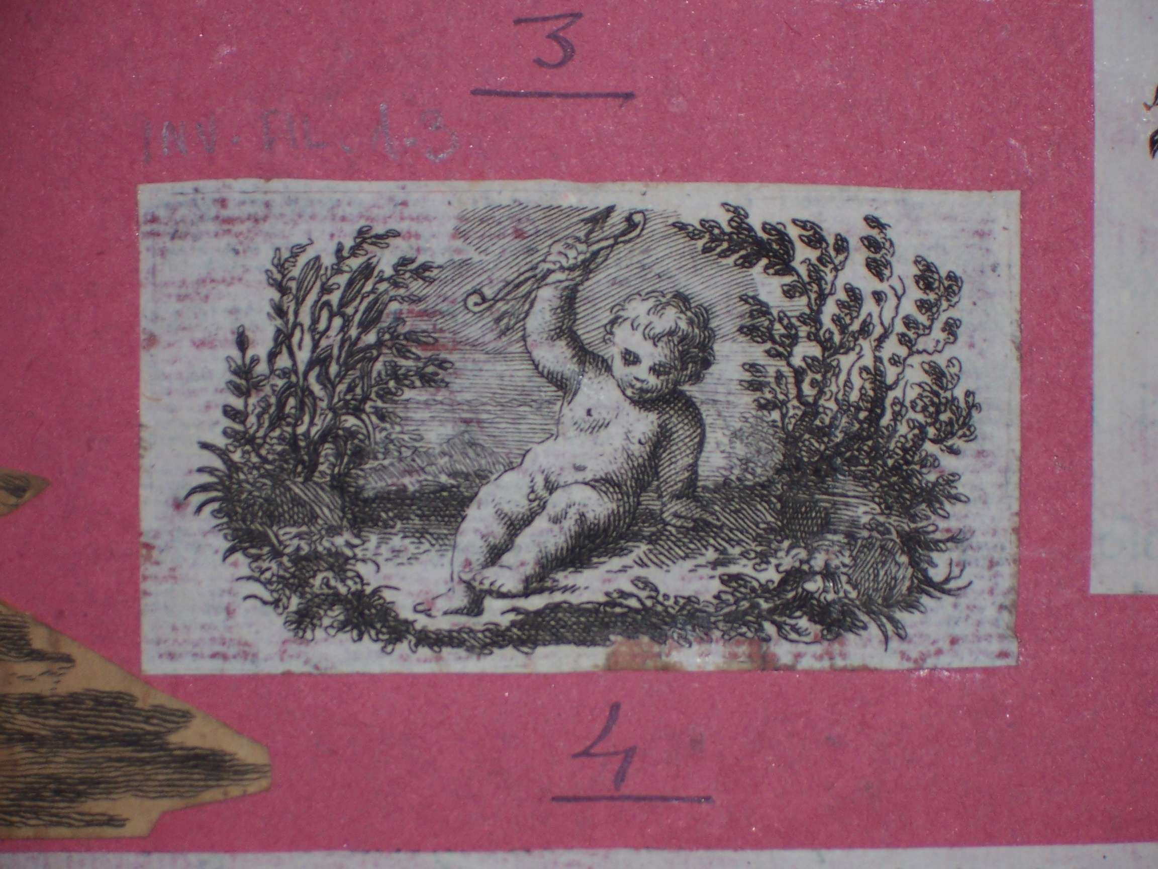 Cupido (stampa) - ambito italiano (sec. XIX)