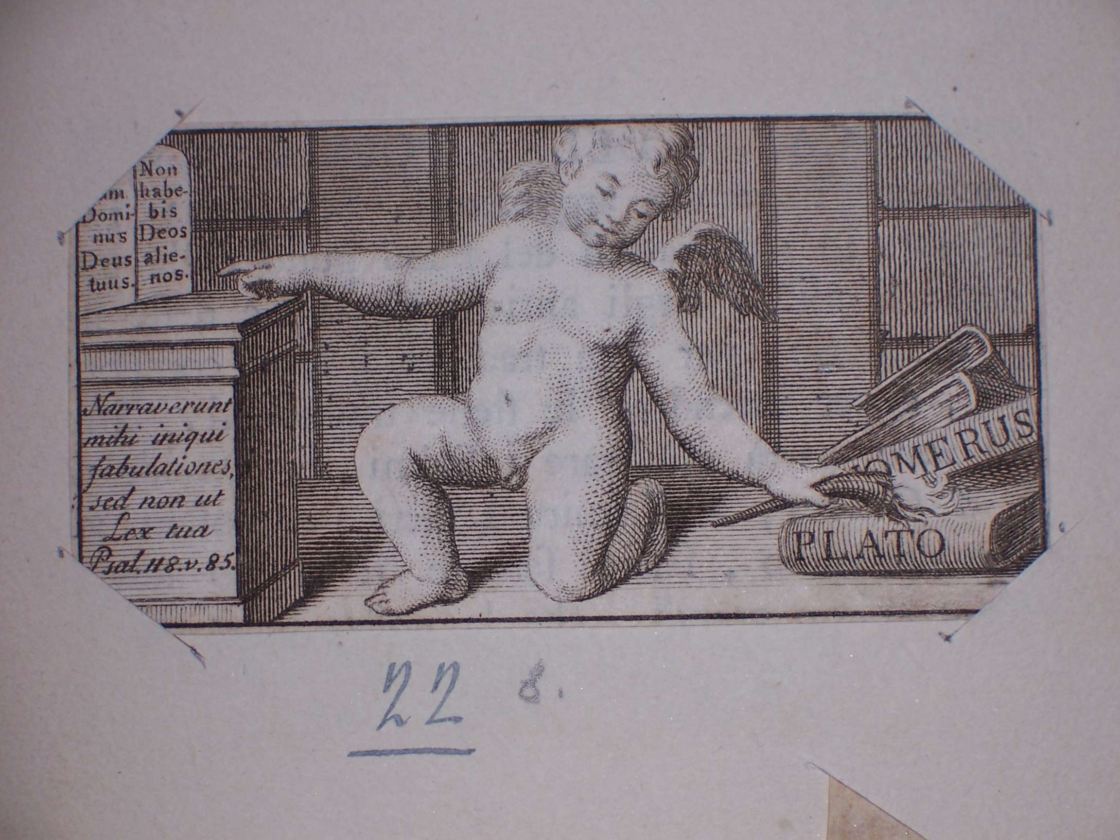 Cupido (stampa) - ambito italiano (sec. XVIII)