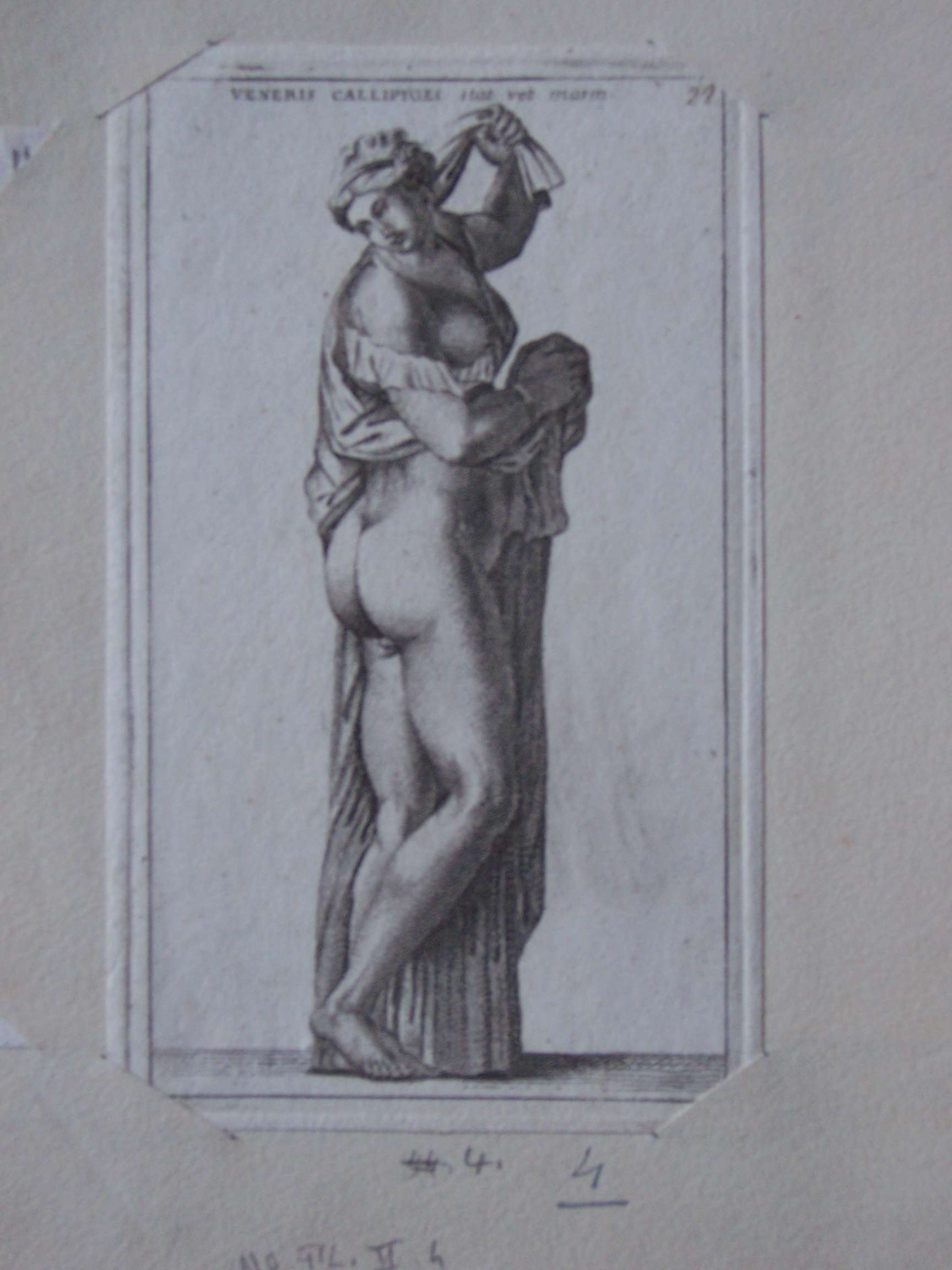 Venere (stampa) - ambito italiano (sec. XIX)