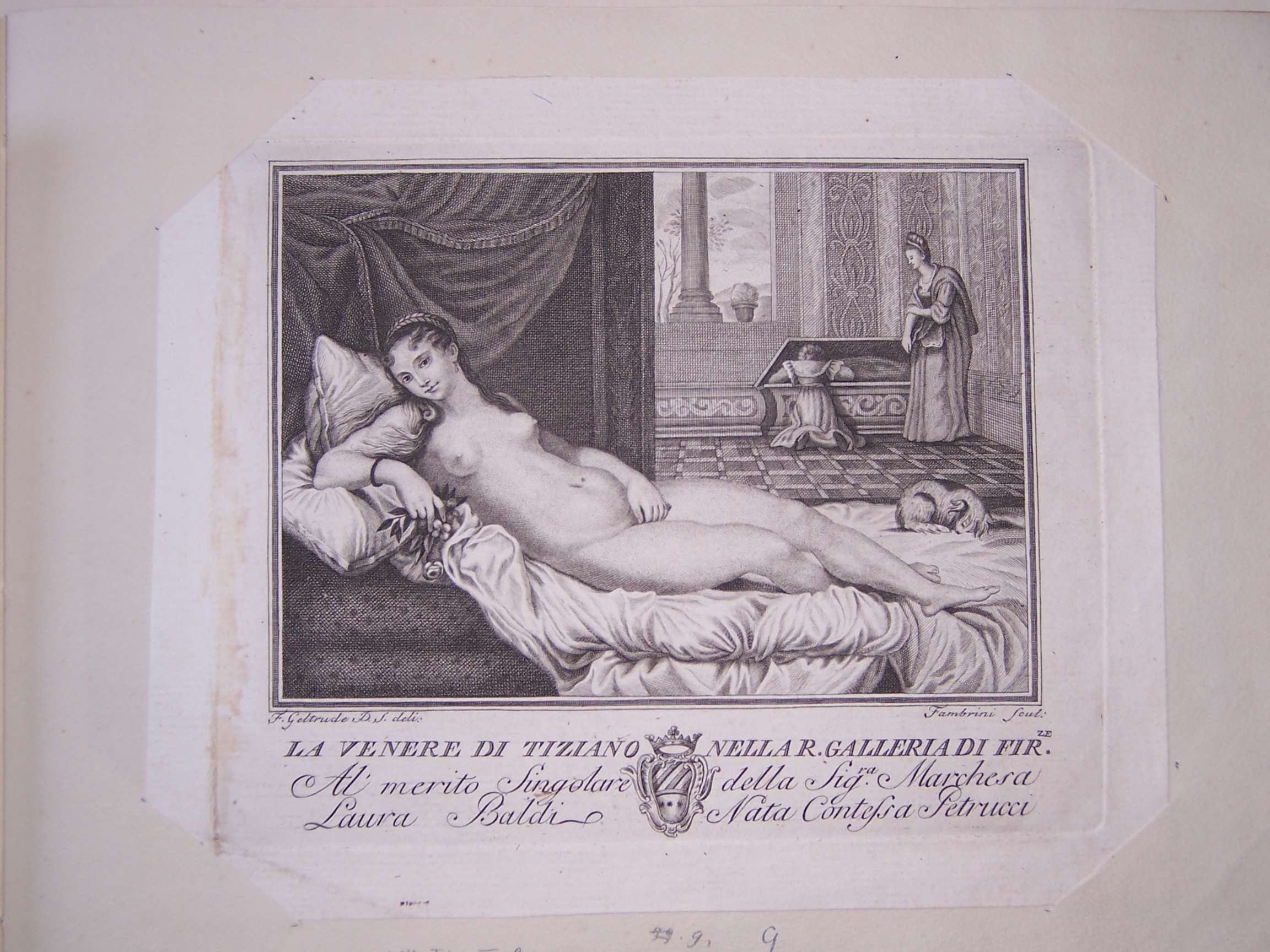 Venere (stampa) di Geltrude F. P. S, Fambrini Ferdinando (seconda metà sec. XVIII)