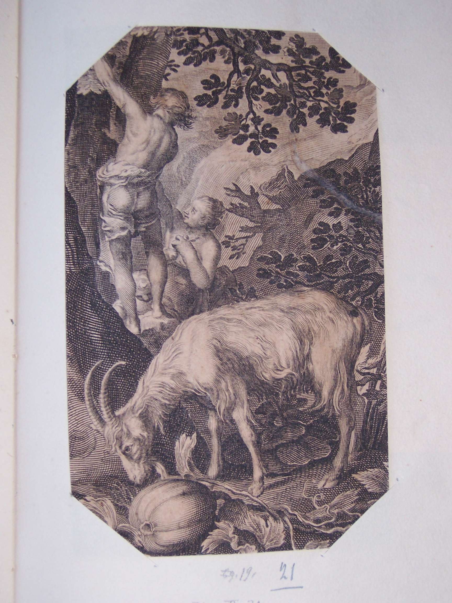 scena campestre con figure (stampa) - ambito italiano (sec. XVIII)