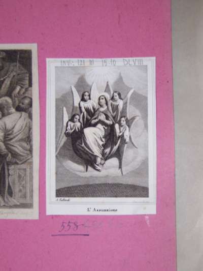 assunzione della Madonna (stampa) di Puccinelli Antonio (secc. XVI/ XX)