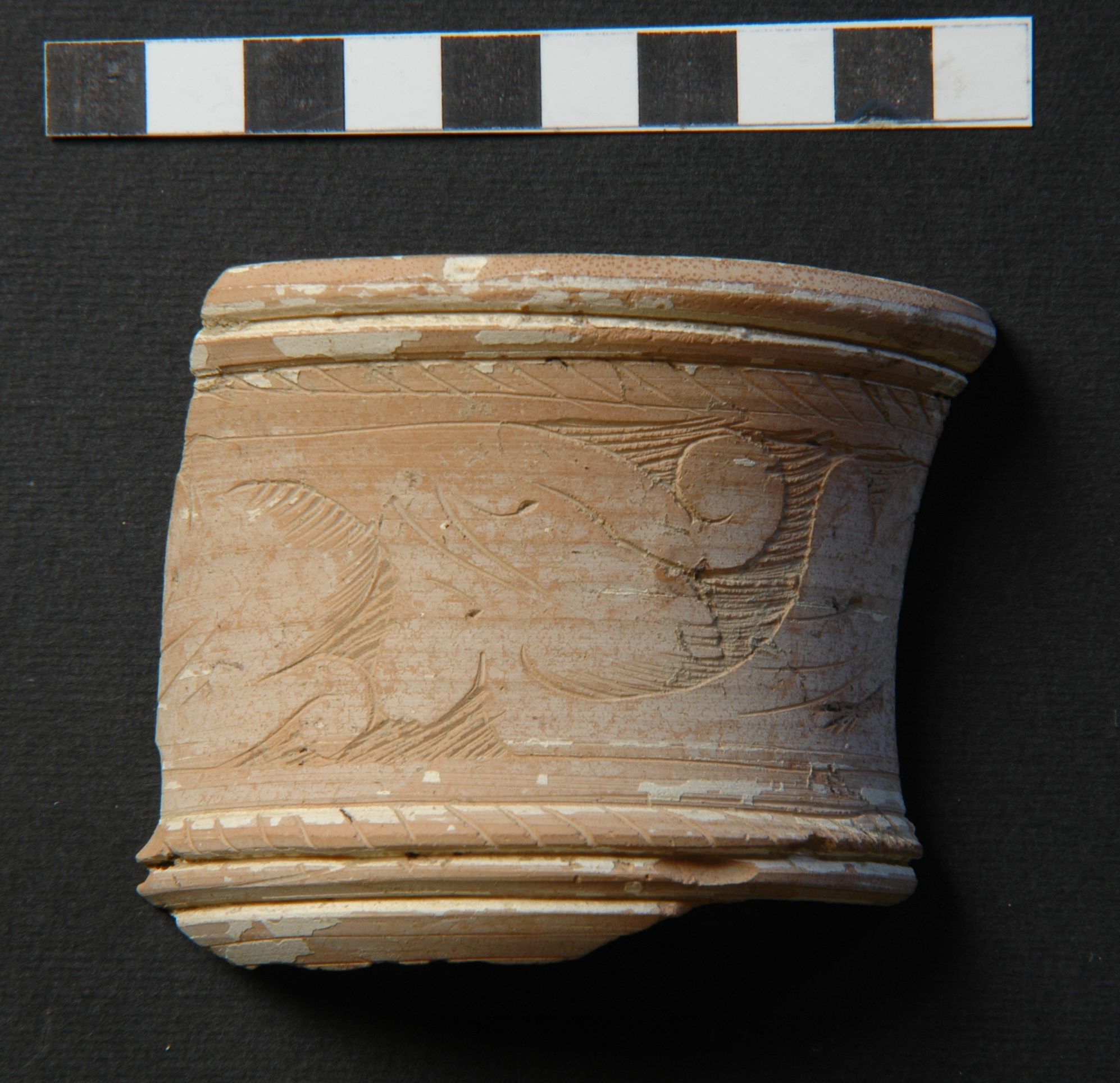 alberello, frammento - ambito toscano (secc. XVI/ XVII)