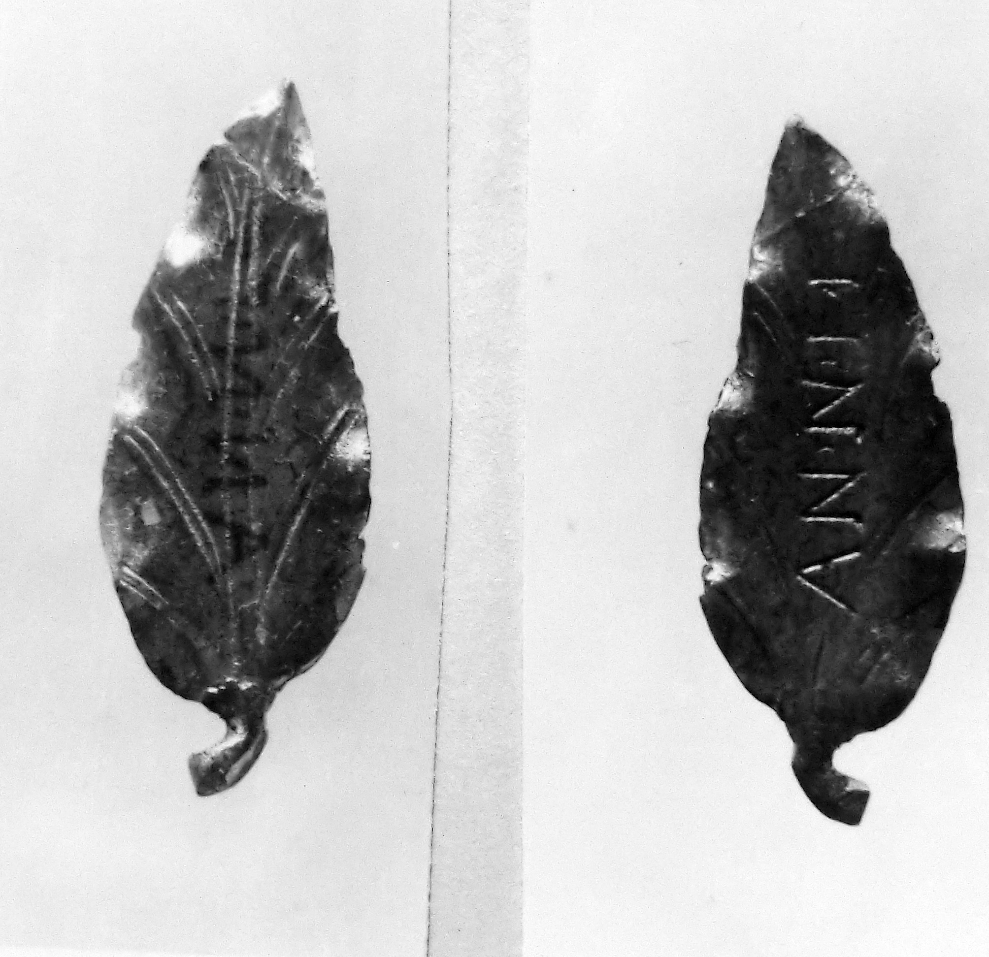 foglia (oggetto non identificato) (secc. I/ III d.C)