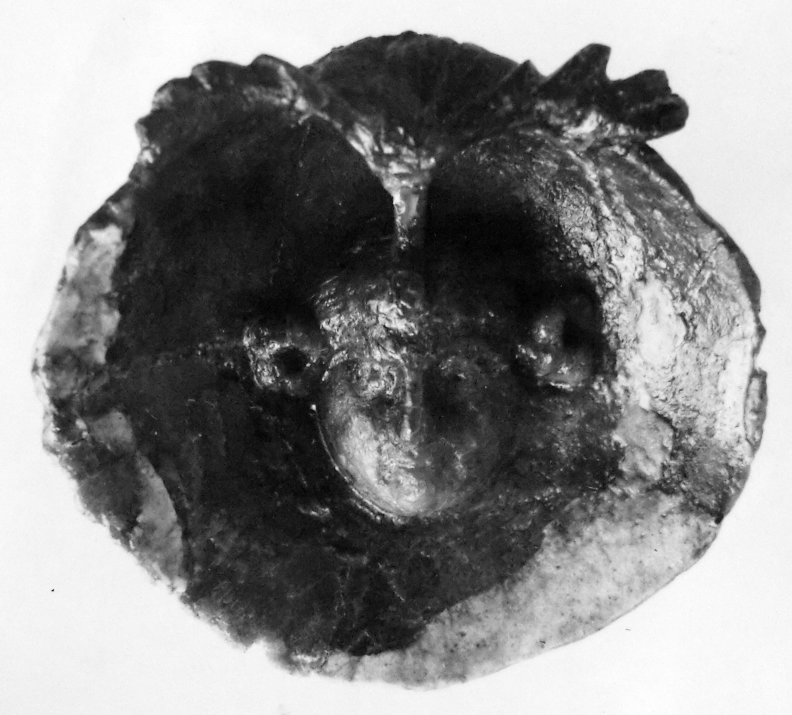 conchiglia (oggetto non identificato) (fine/ inizio secc. I/ II d.C)