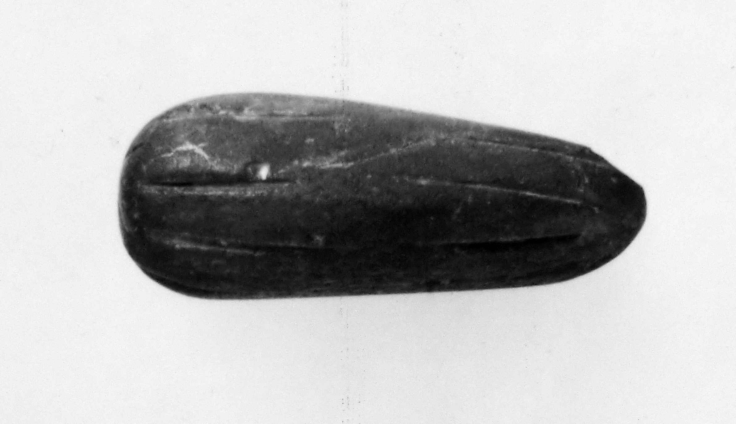 dattero (oggetto non identificato) (secc. I/ III d.C)