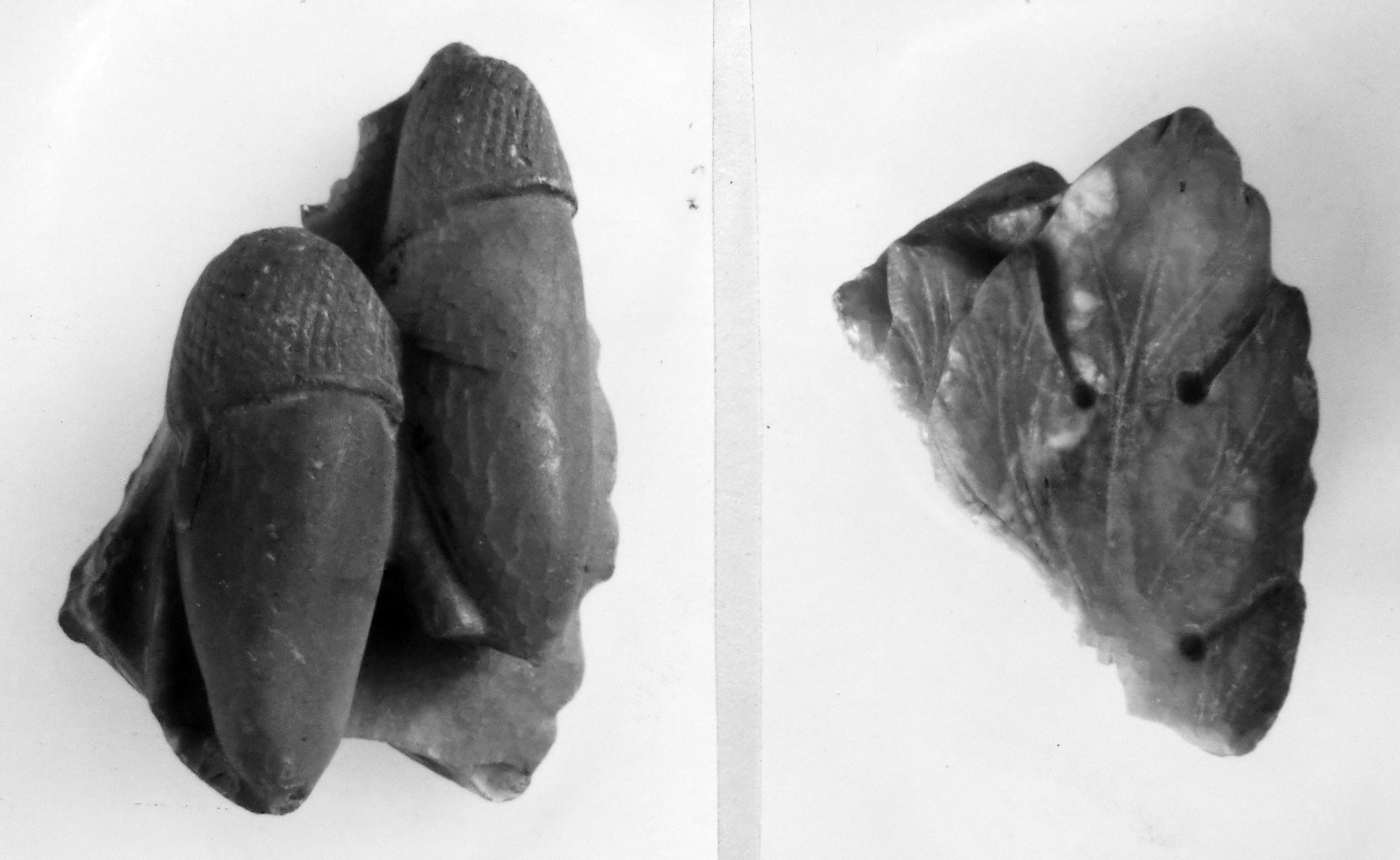 ghianda (oggetto non identificato) (secc. II/ III d.C)