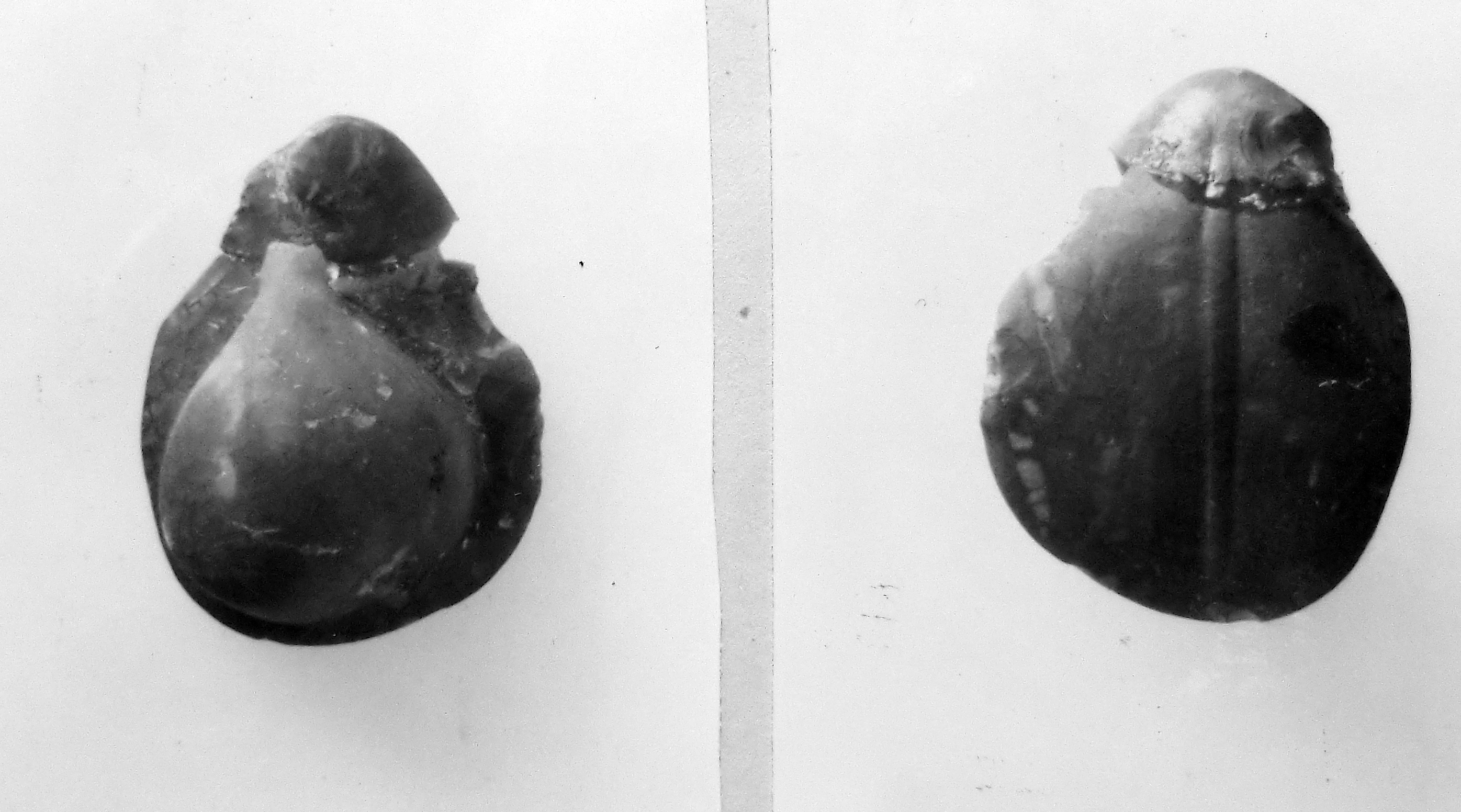 pera (oggetto non identificato) (secc. II/ III d.C)