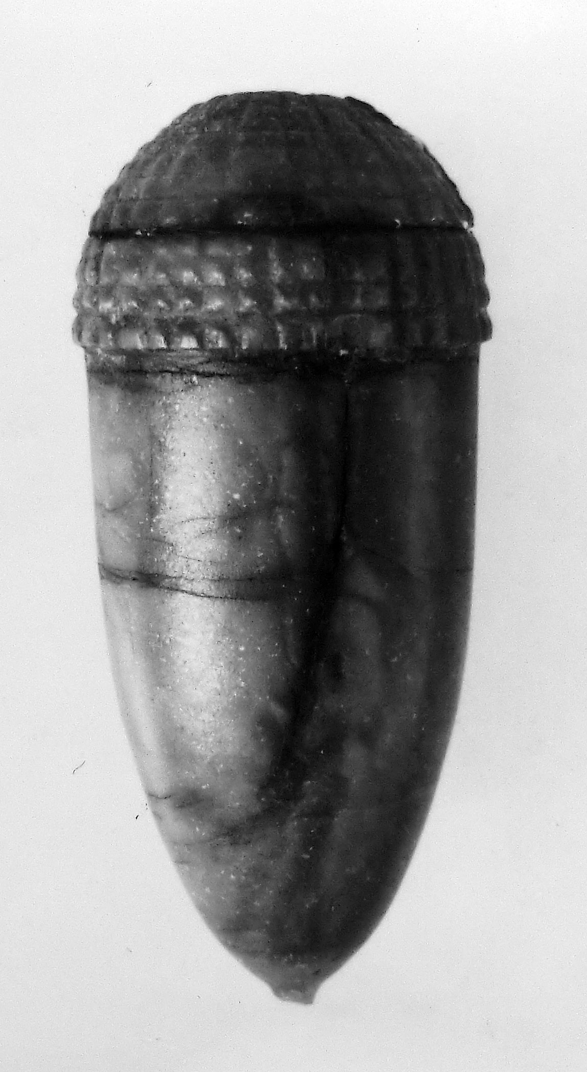 ghianda (pendente) (secc. I/ II d.C)