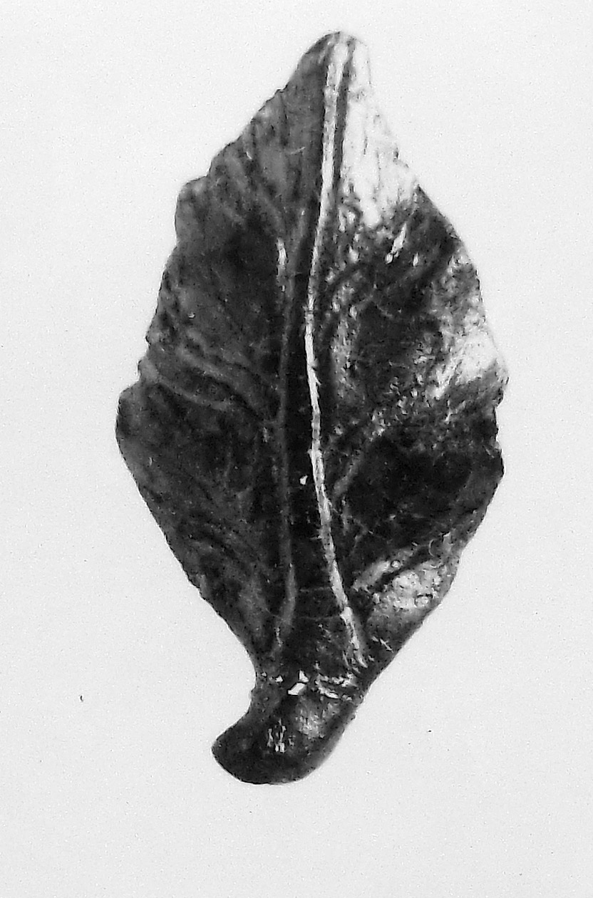 foglia (oggetto non identificato) (secc. I/ III d.C)