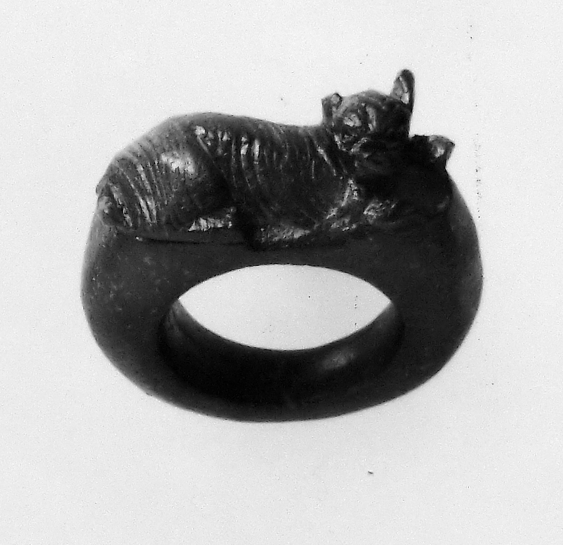 cane (anello, verga liscia) (secc. I/ III d.C)