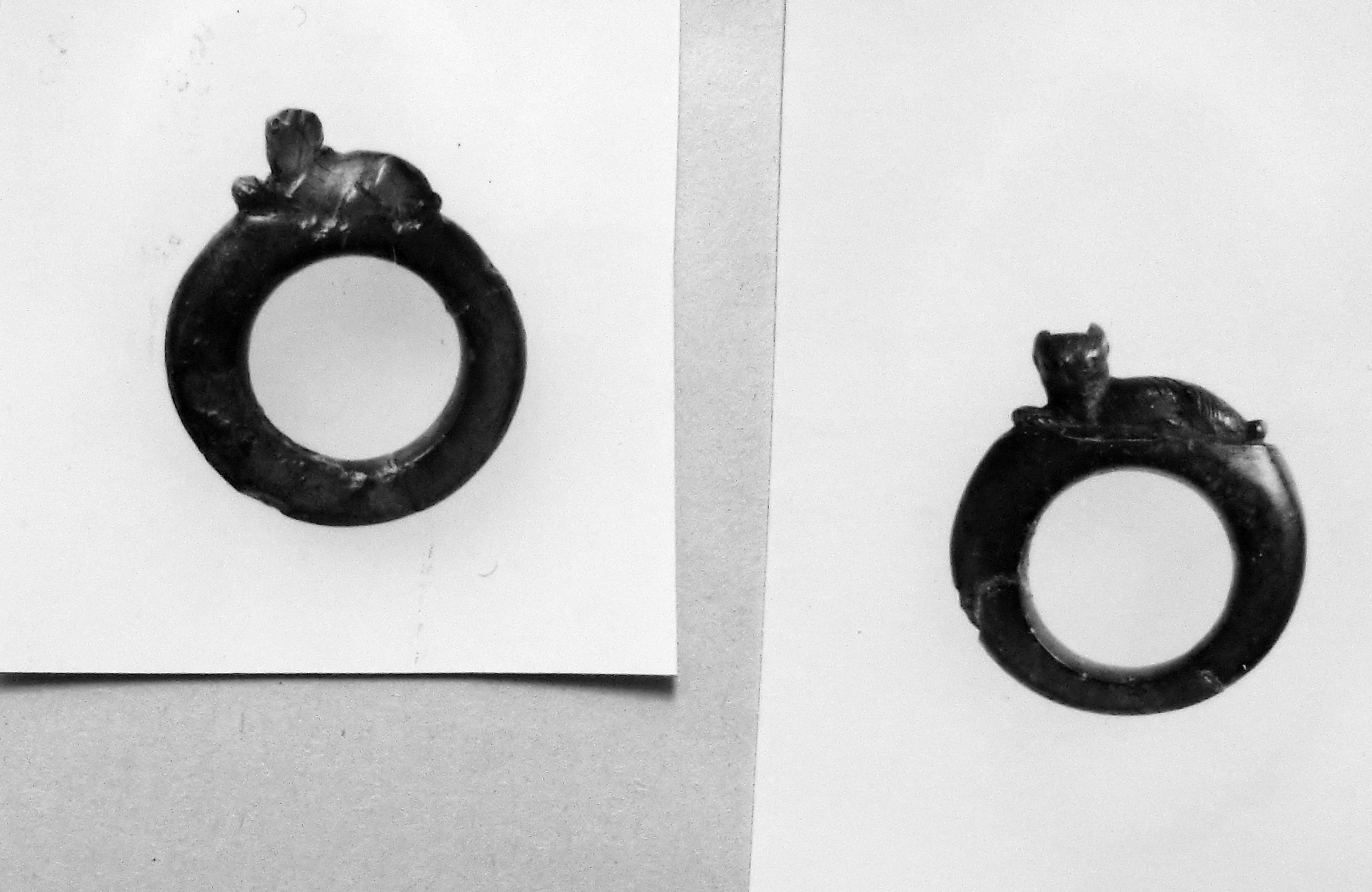 cane (anello, verga liscia) (secc. I/ III d.C)