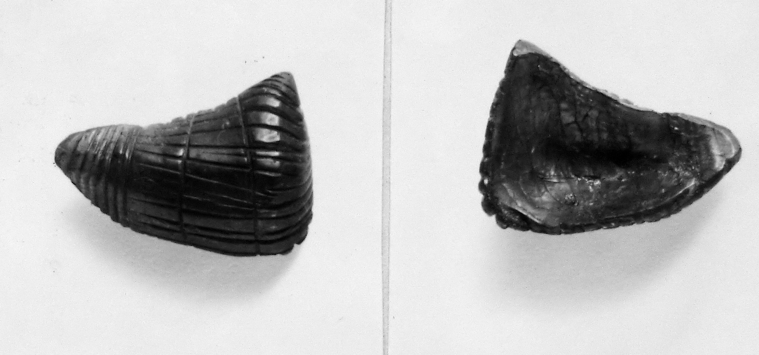 oggetto non identificato (secc. I/ III d.C)