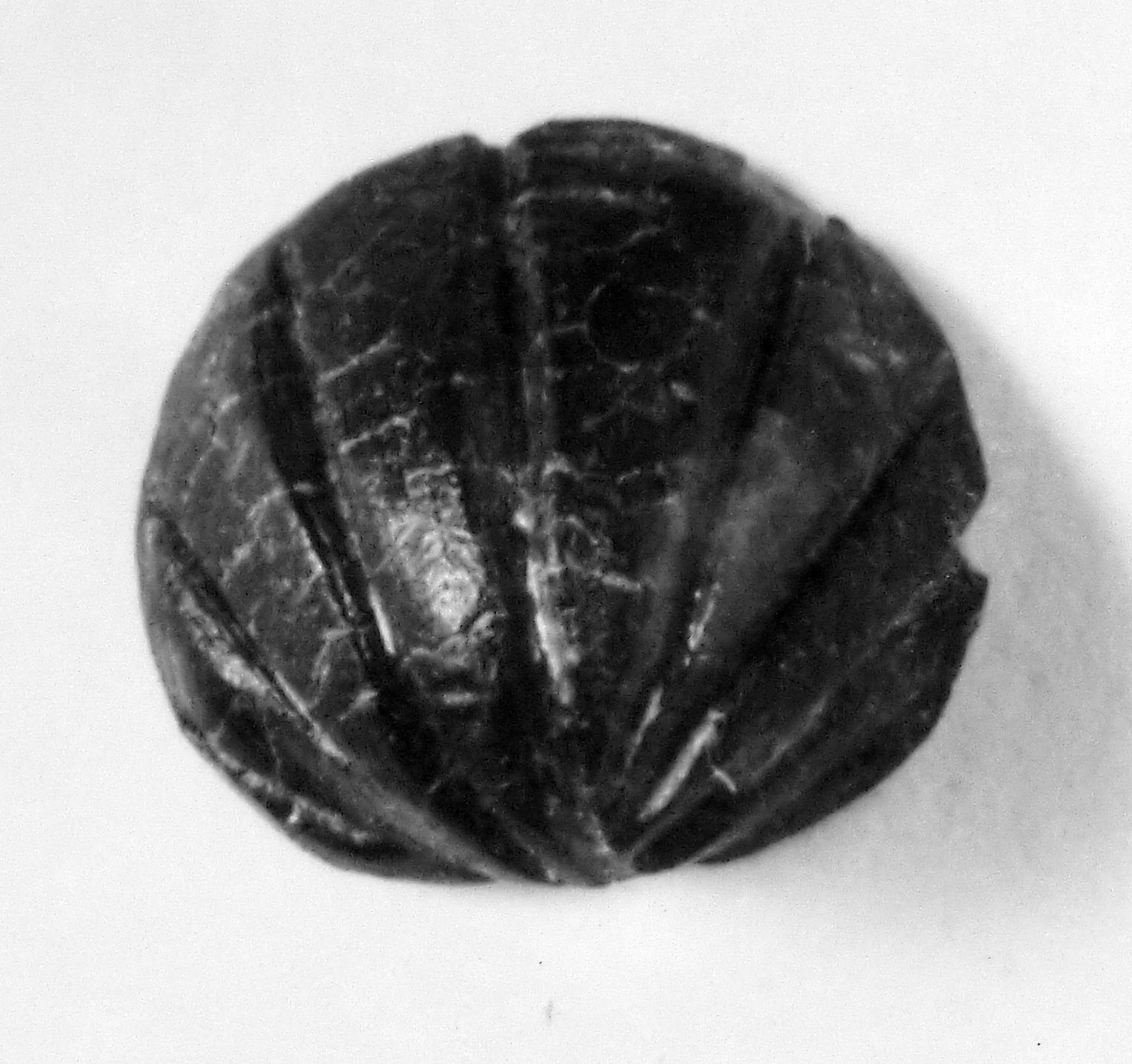 oggetto non identificato (secc. I/ III d.C)