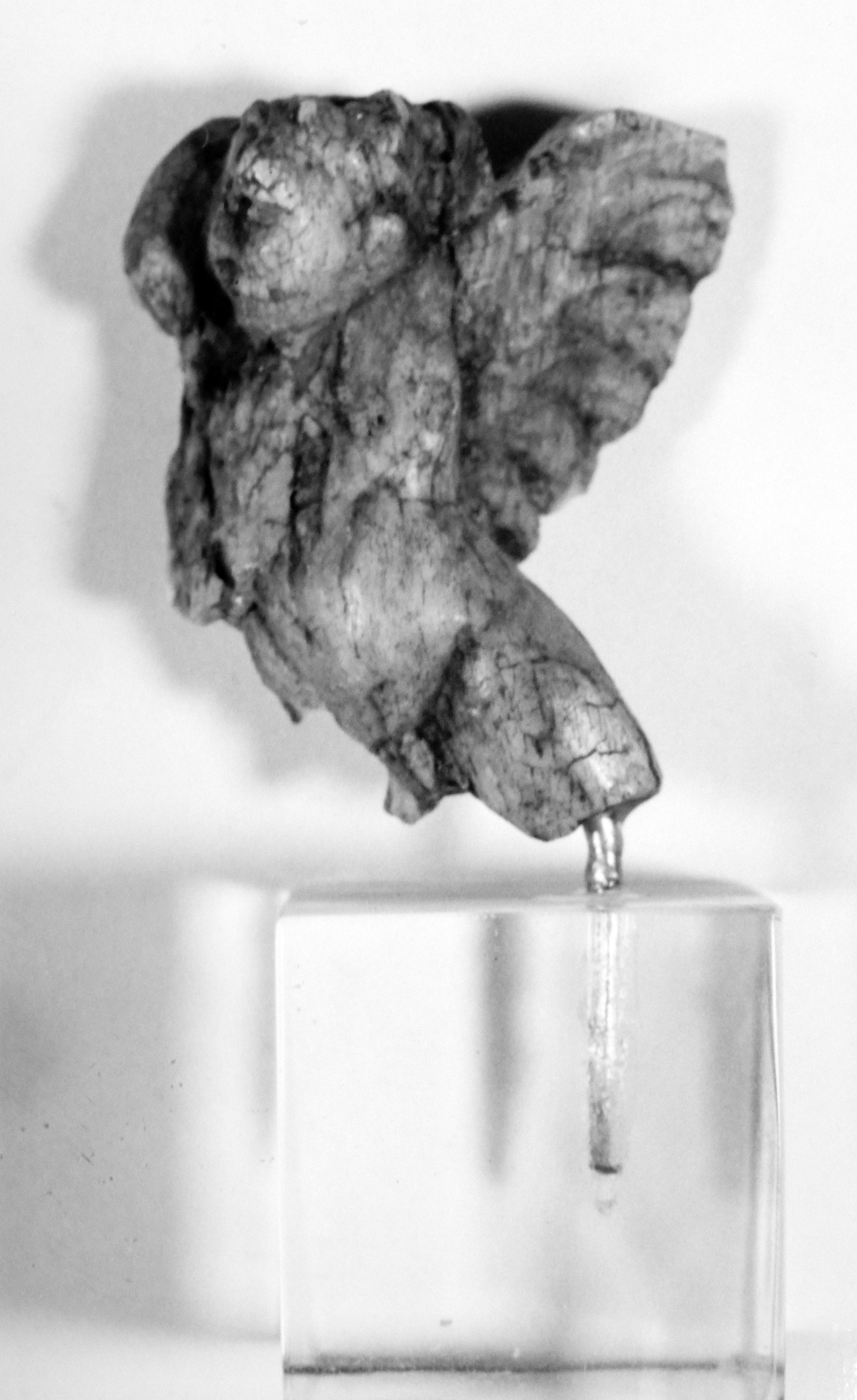 applique (secc. I/ II d.C)