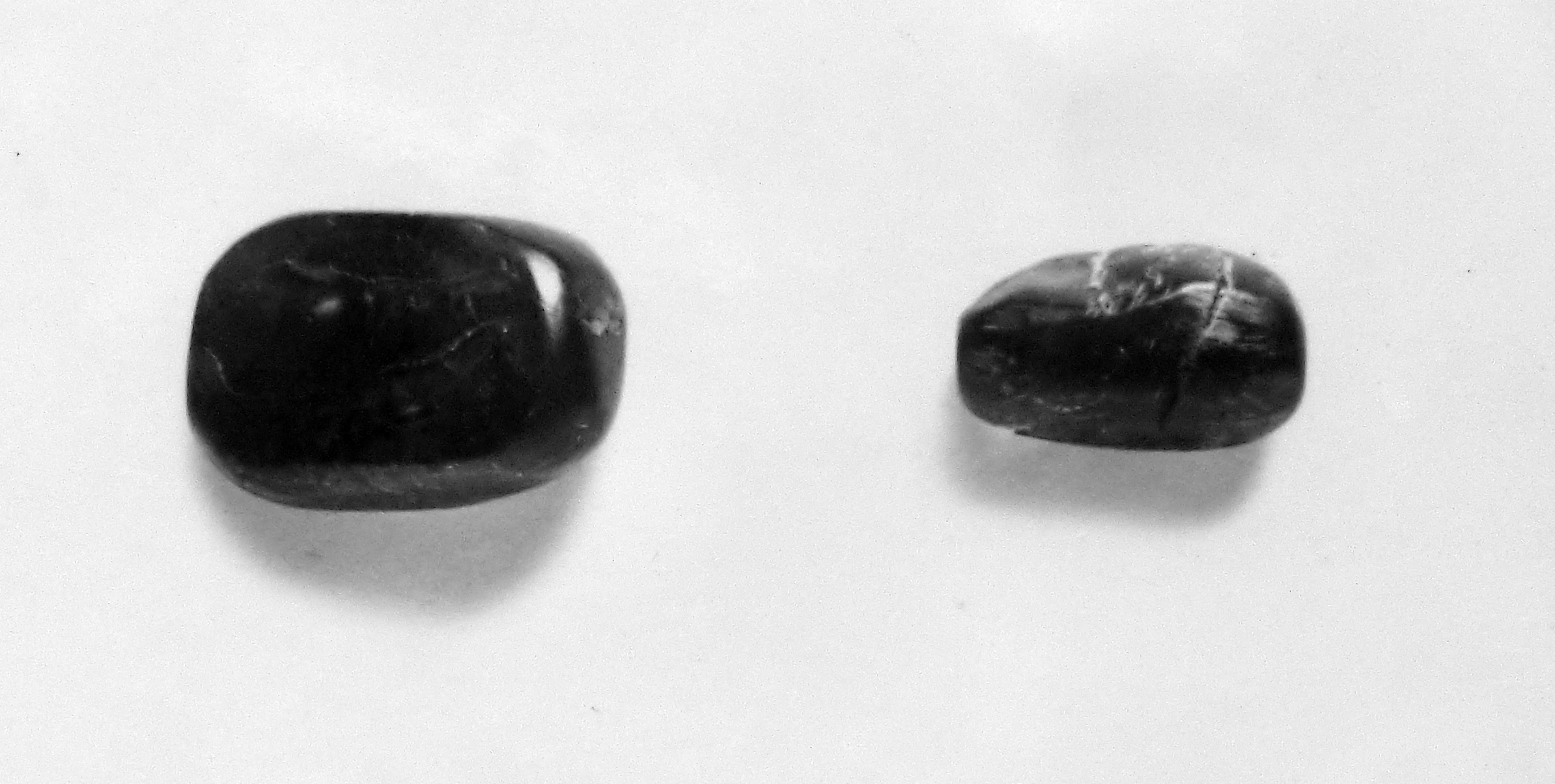 pinolo (?) (oggetto non identificato) (fine sec. I d.C)