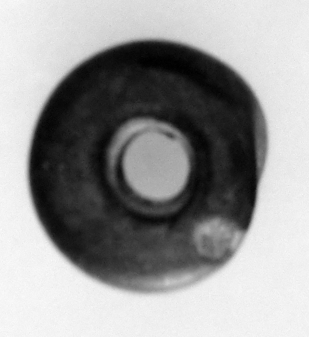 / vago (secc. II/ III d.C)